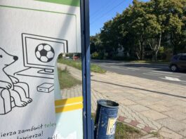 „Nie widać autobusów przez reklamy”. Mieszkańcy Zgierza mają dość oklejonych przystanków