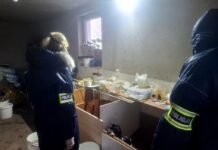 Nielegalna hodowla zwierząt zlikwidowana. 44 psy i 3 koty odebrane z posesji w gminie Piątek