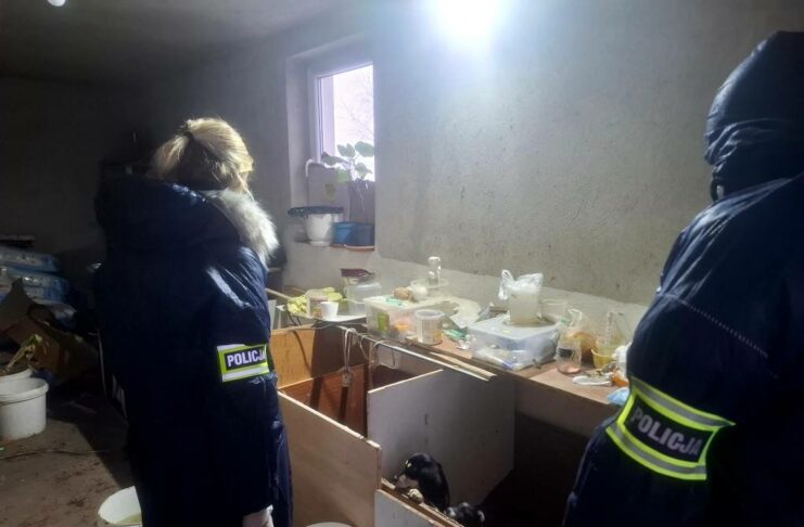 Nielegalna hodowla zwierząt zlikwidowana. 44 psy i 3 koty odebrane z posesji w gminie Piątek