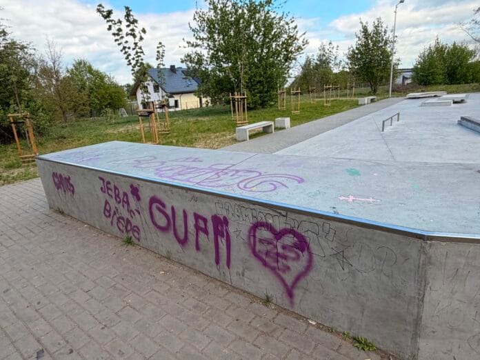 Skate Park w Ozorkowie